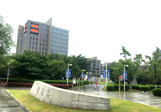关于公司